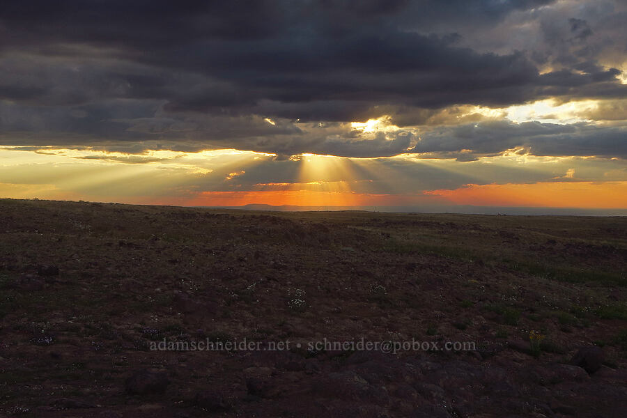 sunset [Kiger Gorge Overlook, Steens Mountain, Harney County, Oregon]