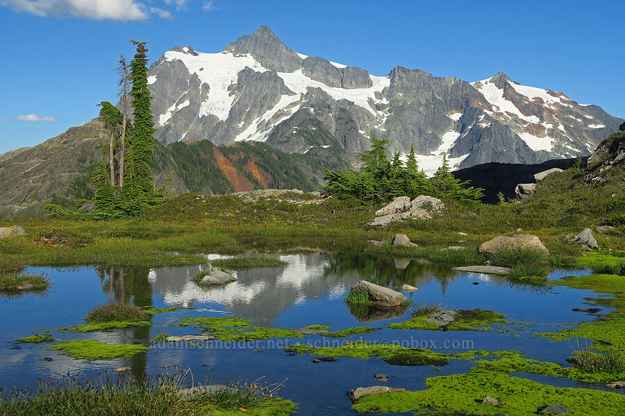 Mount Shuksan & a mossy tarn [Table Mountain, Mt. Baker-Snoqualmie National Forest, Whatcom County, Washington]