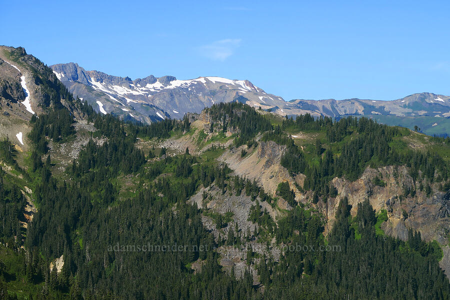 Lasiocarpa Ridge & Chowder Ridge [Chain Lakes Trail, Mt. Baker Wilderness, Whatcom County, Washington]