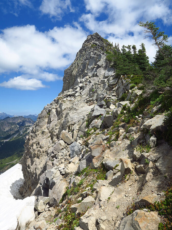 Coleman Pinnacle [Coleman Pinnacle, Mt. Baker Wilderness, Whatcom County, Washington]