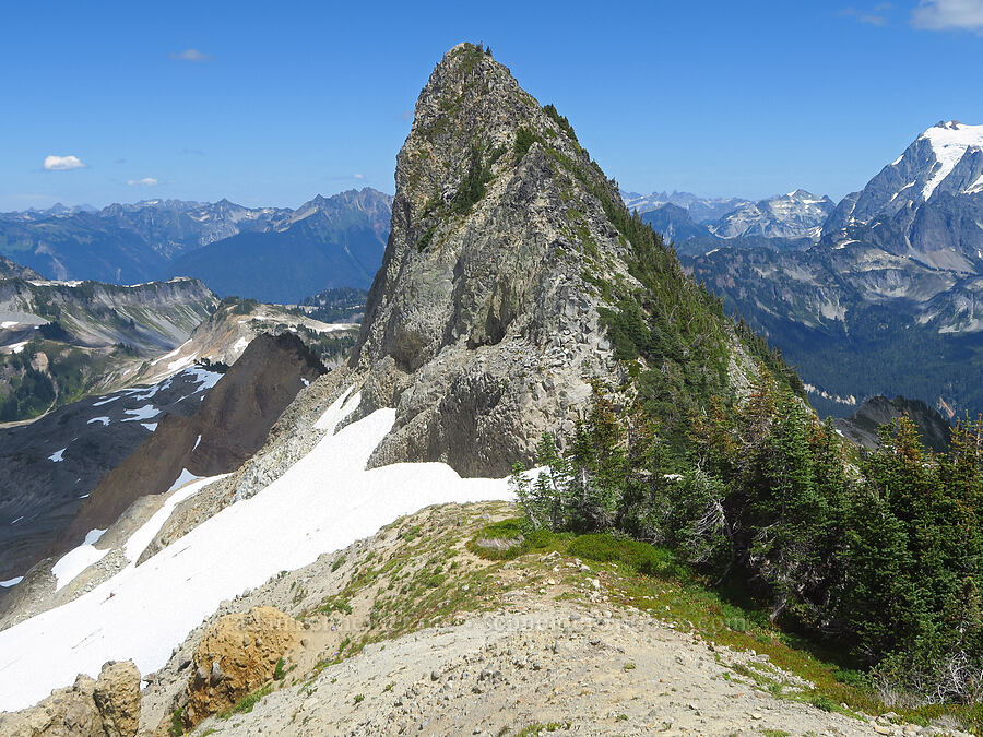 Coleman Pinnacle [Ptarmigan Ridge, Mt. Baker Wilderness, Whatcom County, Washington]