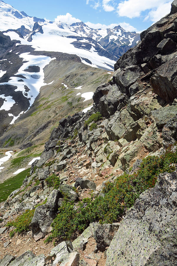 steep slope [Ptarmigan Ridge, Mt. Baker Wilderness, Whatcom County, Washington]