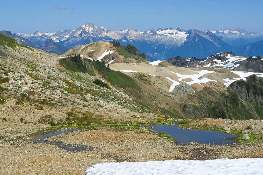 view to the southeast [Ptarmigan Ridge Trail, Mt. Baker Wilderness, Whatcom County, Washington]