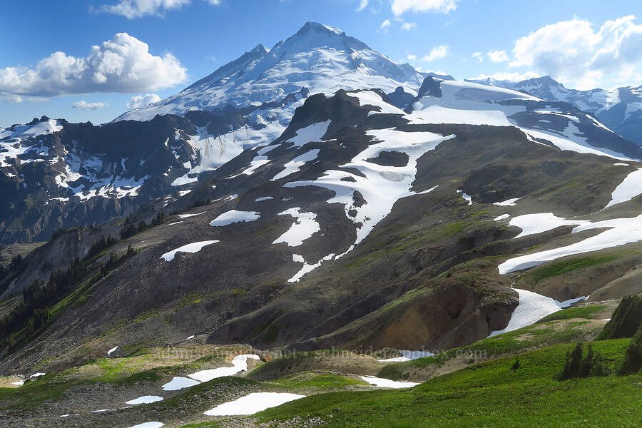 Mount Baker [Ptarmigan Ridge Trail, Mt. Baker Wilderness, Whatcom County, Washington]