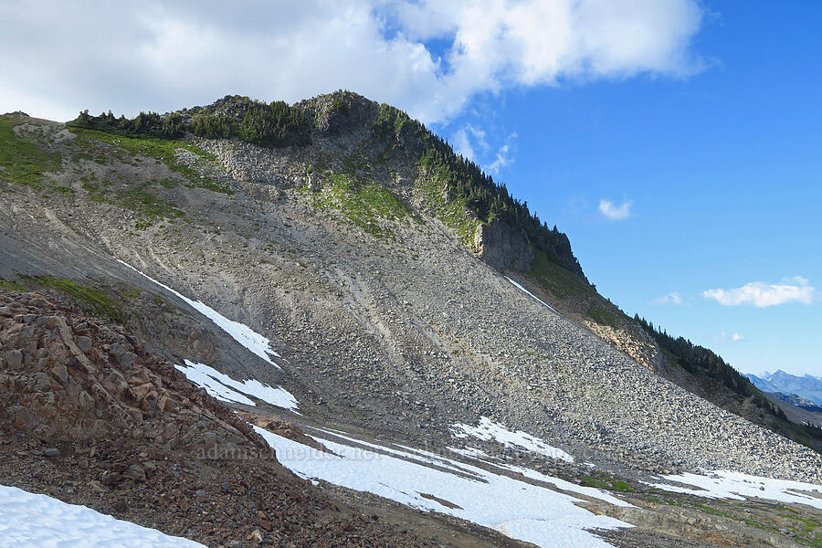 southwest side of Coleman Pinnacle [Ptarmigan Ridge Trail, Mt. Baker Wilderness, Whatcom County, Washington]
