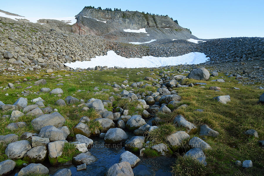 fell fields below Happy Bunny Butte [Ptarmigan Ridge Trail, Mt. Baker Wilderness, Whatcom County, Washington]