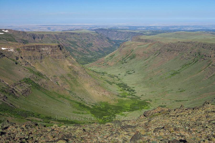 Little Blitzen Gorge [Steens Mountain Road, Steens Mountain, Harney County, Oregon]