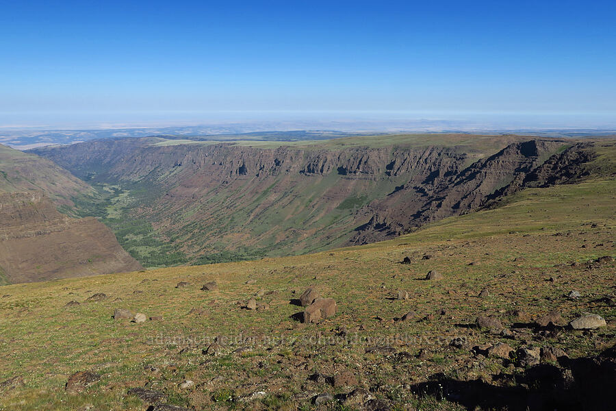 Big Indian Canyon [Steens Summit Road, Steens Mountain, Harney County, Oregon]