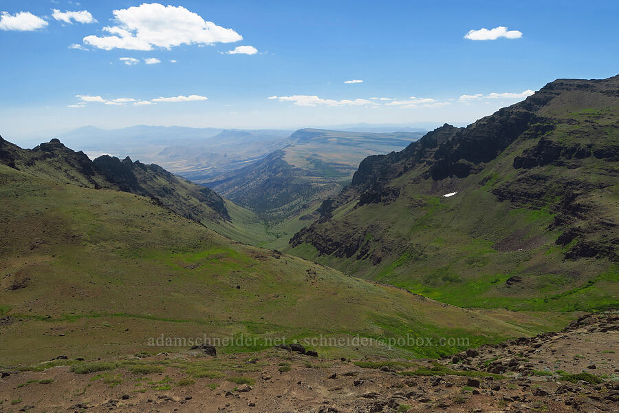 Wildhorse Canyon [east of Wildhorse Lake, Steens Mountain, Harney County, Oregon]