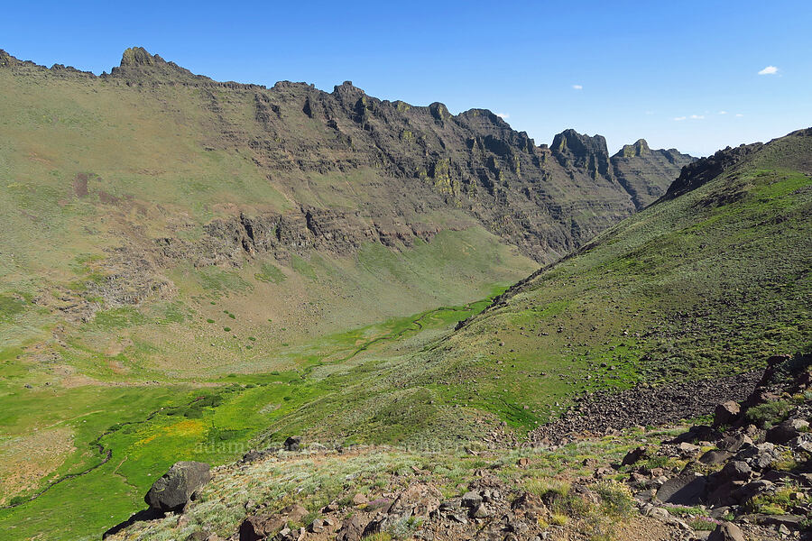 Wildhorse Canyon [south of Wildhorse Lake, Steens Mountain, Harney County, Oregon]