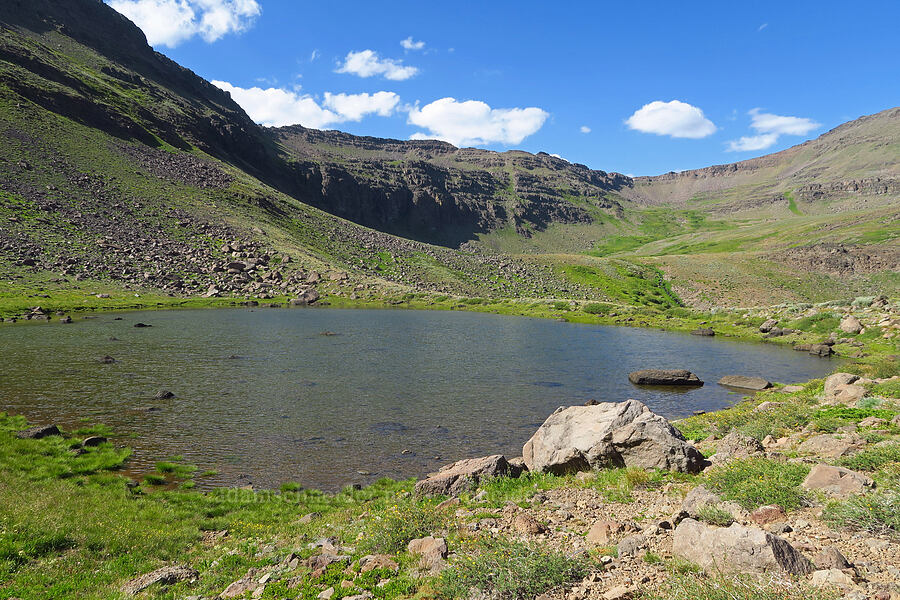 pond beyond Wildhorse Lake [south of Wildhorse Lake, Steens Mountain, Harney County, Oregon]