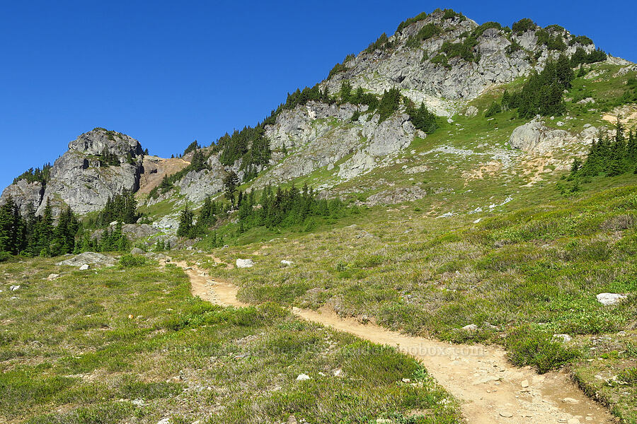 Winchester Mountain [Winchester Mountain Trail, Mt. Baker Wilderness, Whatcom County, Washington]