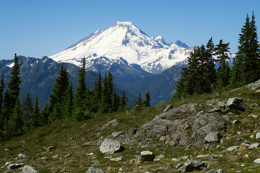 Mount Baker [Winchester Mountain Trail, Mt. Baker Wilderness, Whatcom County, Washington]