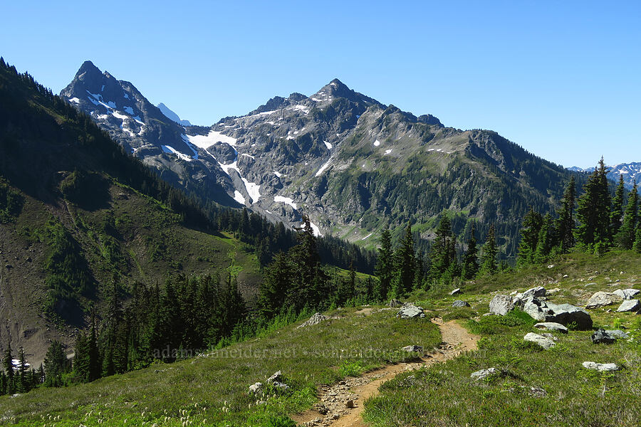 Goat Mountain [Winchester Mountain Trail, Mt. Baker Wilderness, Whatcom County, Washington]