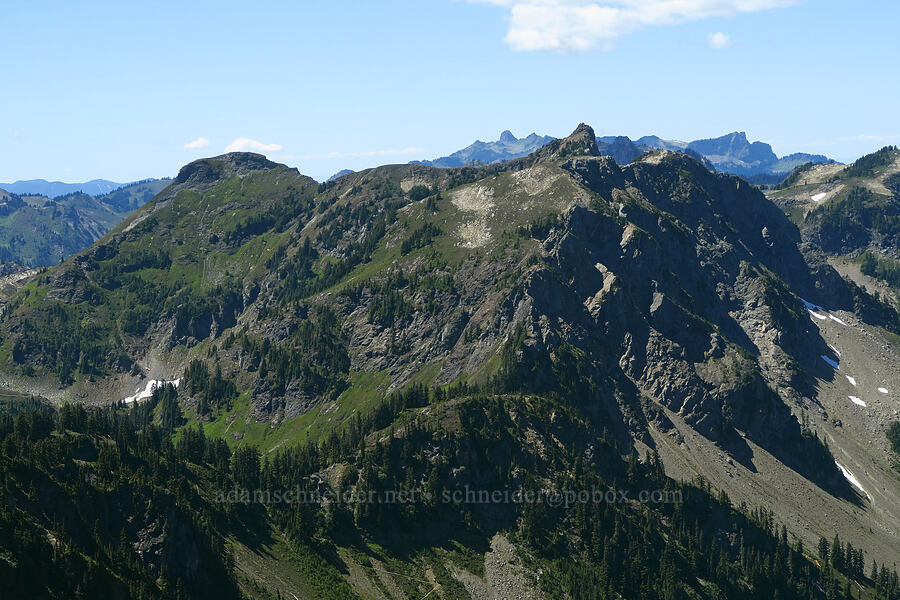 Yellow Aster Butte [Winchester Mountain, Mt. Baker Wilderness, Whatcom County, Washington]