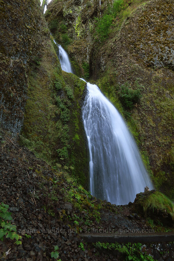 Wahkeena Falls [Wahkeena Trail, Mt. Hood National Forest, Multnomah County, Oregon]