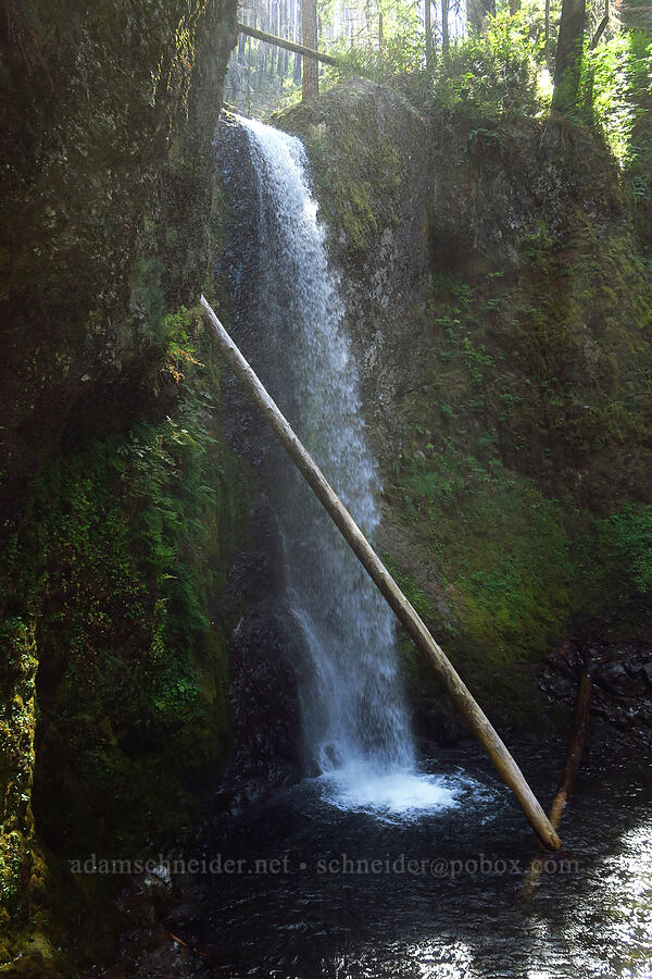 Wiesendanger Falls [Larch Mountain Trail, Mt. Hood National Forest, Multnomah County, Oregon]