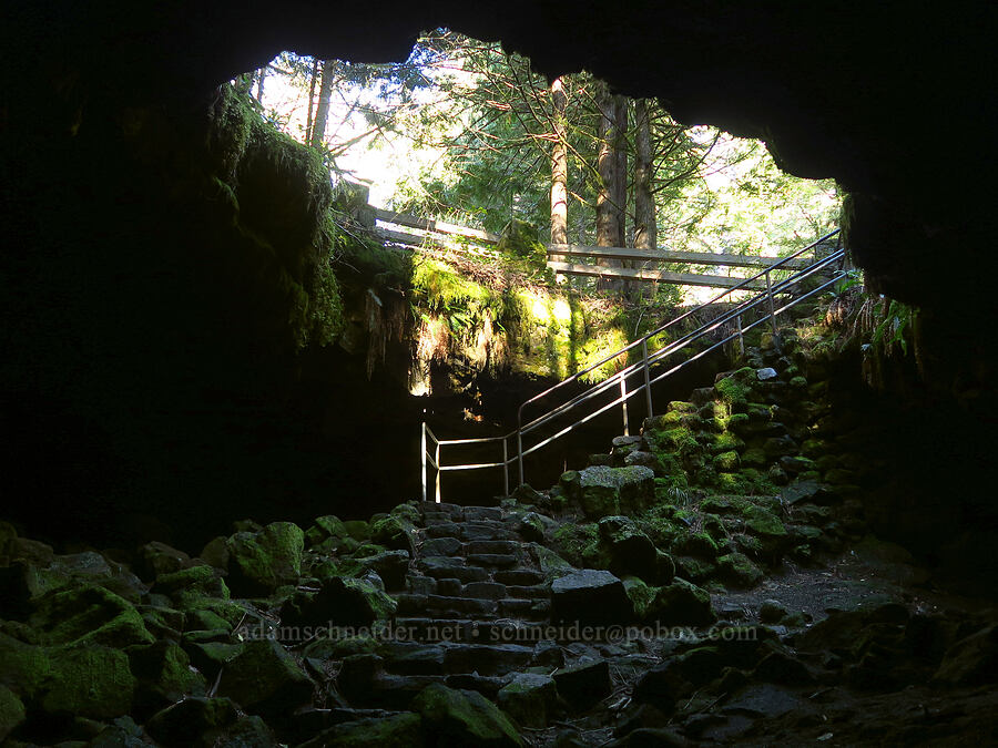 lower cave entrance [Ape Cave, Mt. St. Helens National Volcanic Monument, Skamania County, Washington]