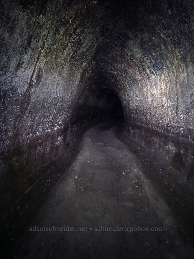 The Railroad Tracks [Ape Cave, Mt. St. Helens National Volcanic Monument, Skamania County, Washington]