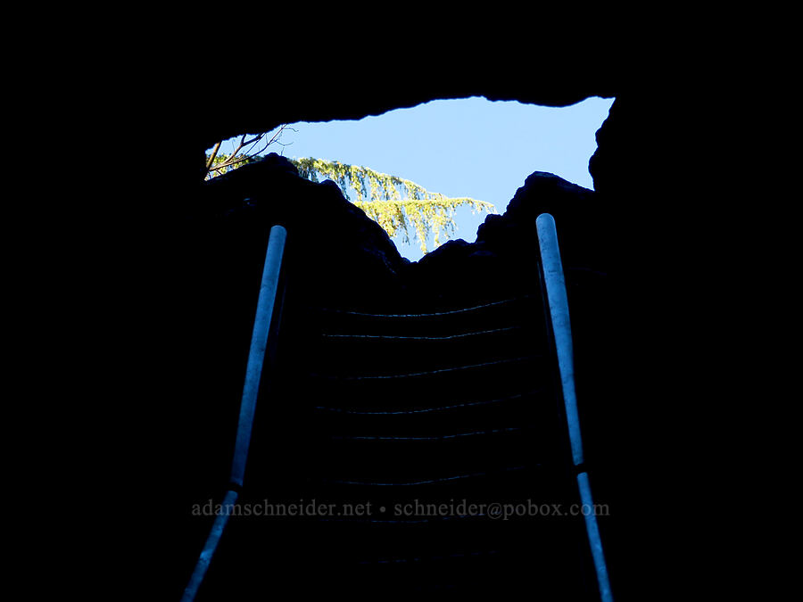 upper entrance [Ape Cave, Mt. St. Helens National Volcanic Monument, Skamania County, Washington]