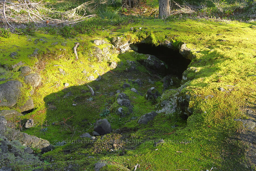 tiny lava cave [Ape Cave Trail, Mt. St. Helens National Volcanic Monument, Skamania County, Washington]