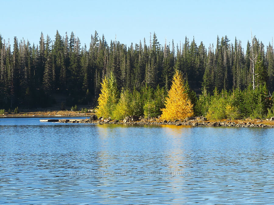 fall colors [Three Creek Lake, Three Sisters Wilderness, Deschutes County, Oregon]