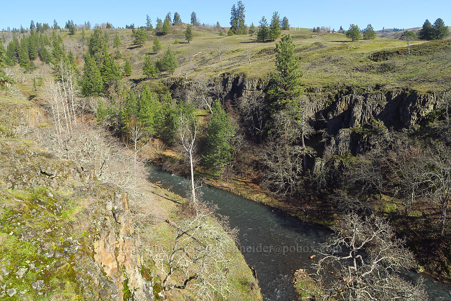 Major Creek [above Major Creek, Klickitat County, Washington]