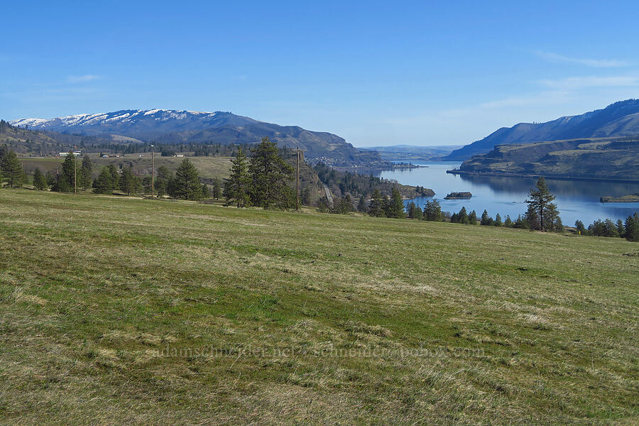 eastern Gorge [Catherine Creek, Klickitat County, Washington]