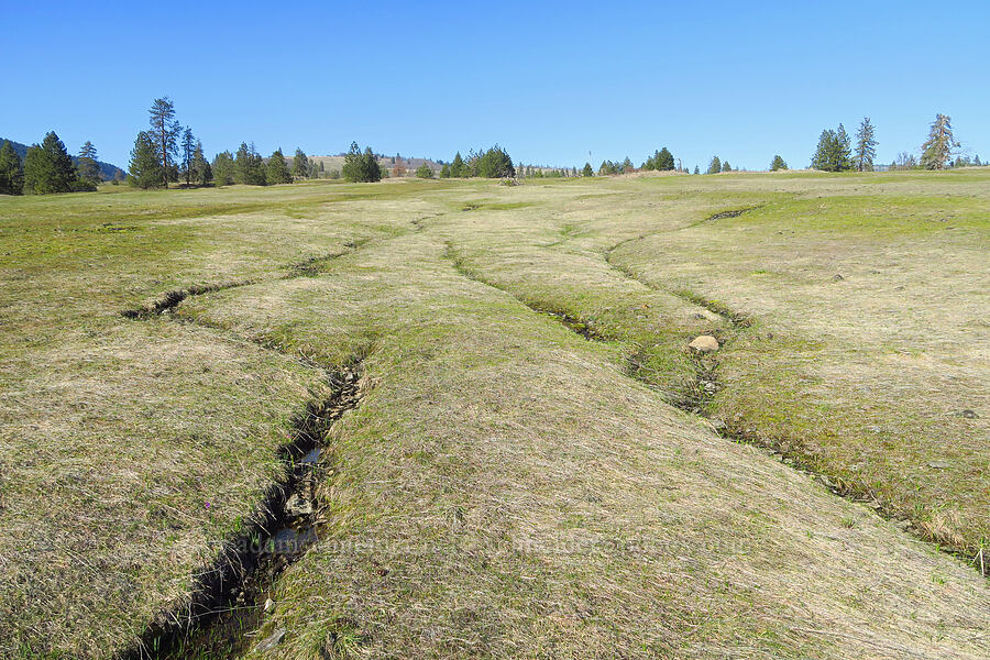 ephemeral streams [Catherine Creek, Klickitat County, Washington]