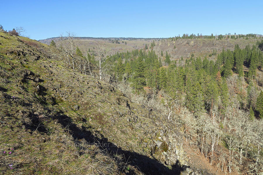 Major Creek's valley [above Major Creek, Klickitat County, Washington]