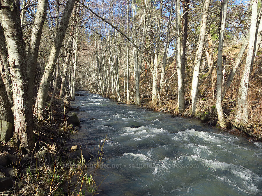 Major Creek [Major Creek, Klickitat County, Washington]