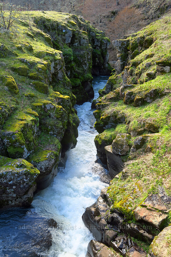 narrow gorge [Major Creek, Klickitat County, Washington]