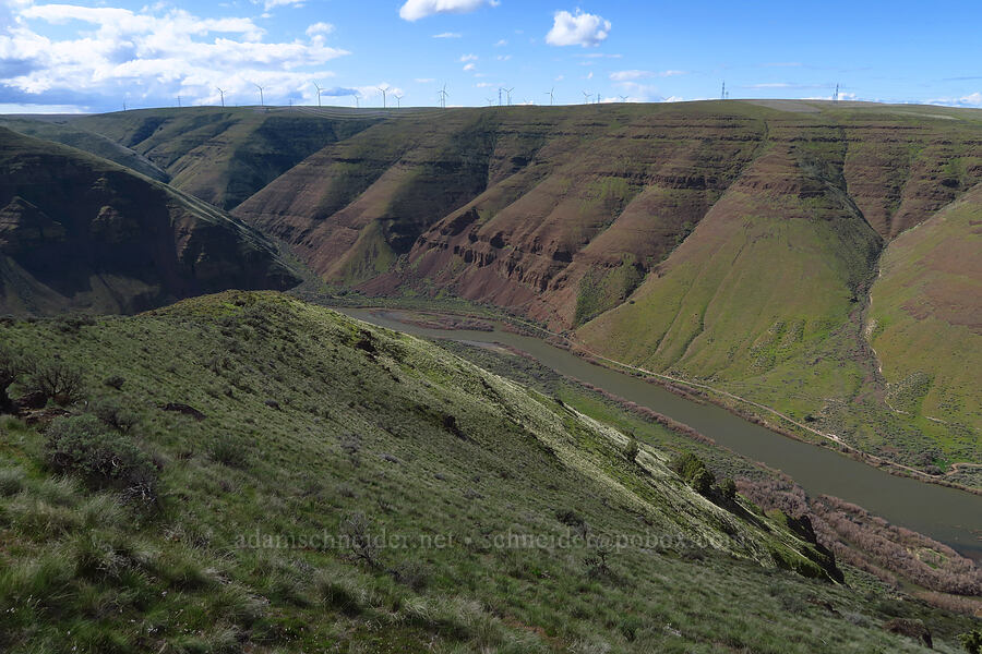 John Day River [Cottonwood Canyon State Park, Gilliam County, Oregon]