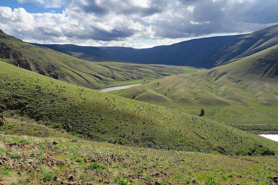 John Day River Valley [Cottonwood Canyon State Park, Gilliam County, Oregon]