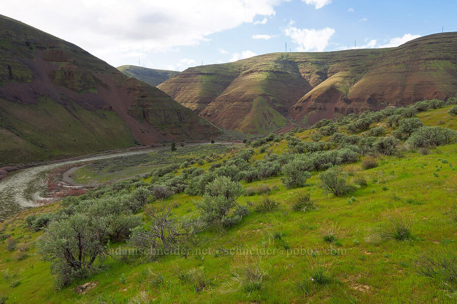 John Day River Valley [Cottonwood Canyon State Park, Gilliam County, Oregon]