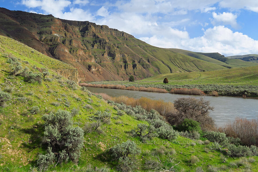 John Day River [Cottonwood Canyon State Park, Gilliam County, Oregon]