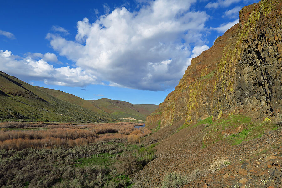 John Day River Valley [Cottonwood Canyon State Park, Gilliam County, Oregon]