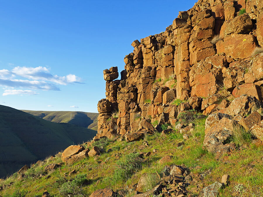 cliffs & hoodoos [Cottonwood Canyon State Park, Gilliam County, Oregon]