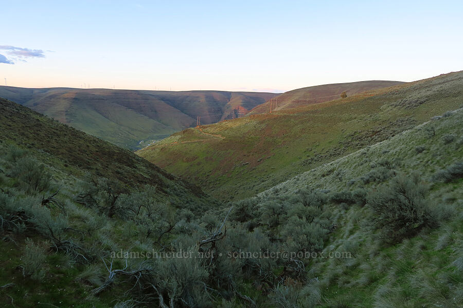 sunset light [Cottonwood Canyon State Park, Gilliam County, Oregon]