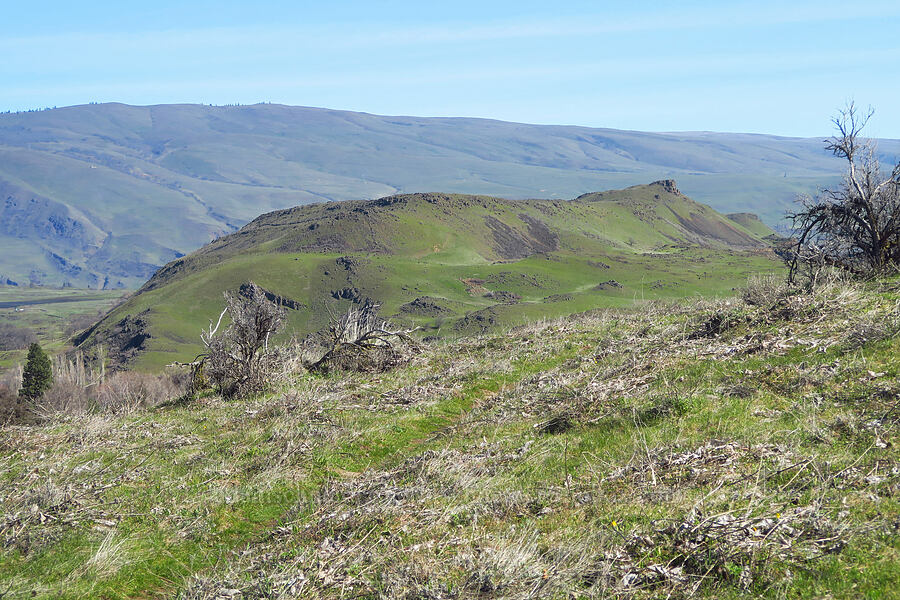 view to the northeast [Chenoweth Tableland, Wasco County, Oregon]