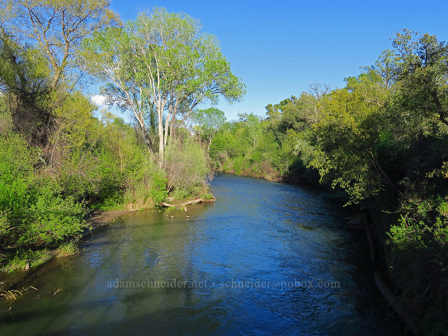 Battle Creek [Battle Creek Wildlife Area, Tehama County, California]