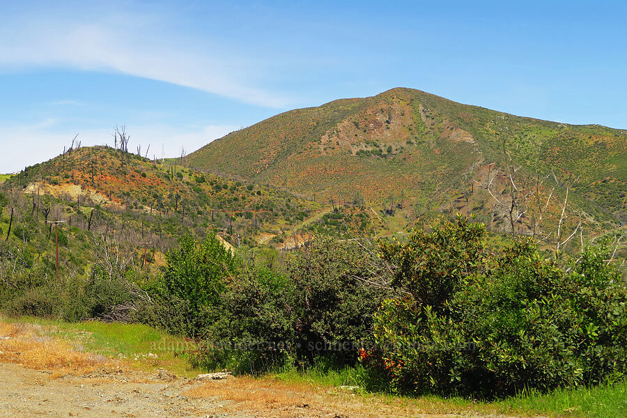 orange hills [Capell Valley Road, Napa County, California]