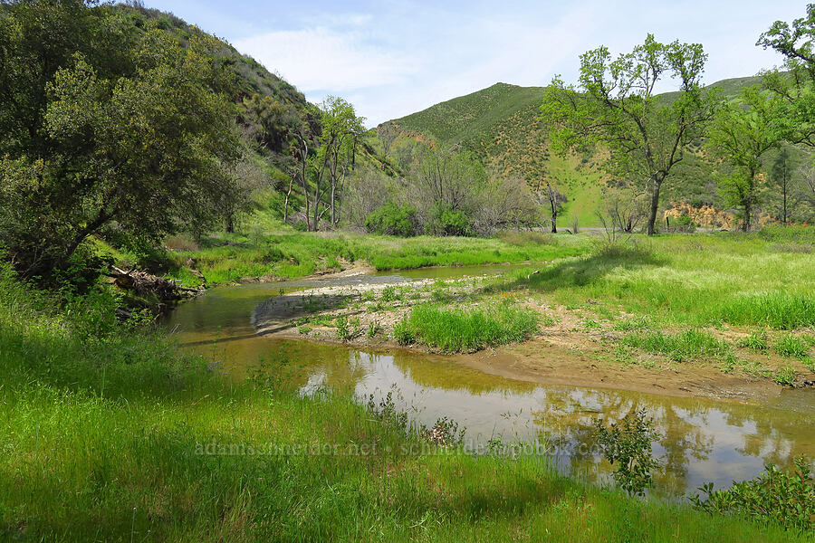 Eticuera Creek [Zim Zim Falls Trail, Napa County, California]