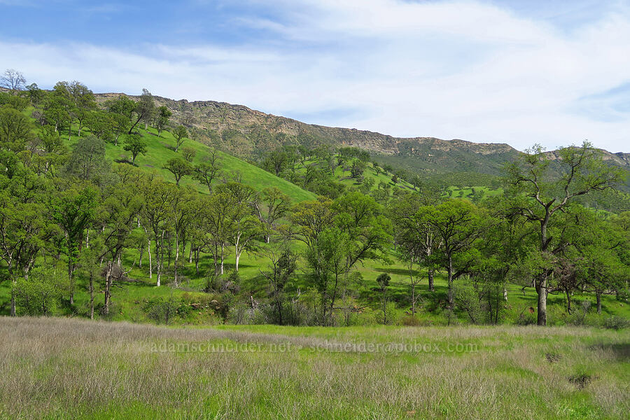 Blue Ridge [Berryessa-Knoxville Road, Napa County, California]