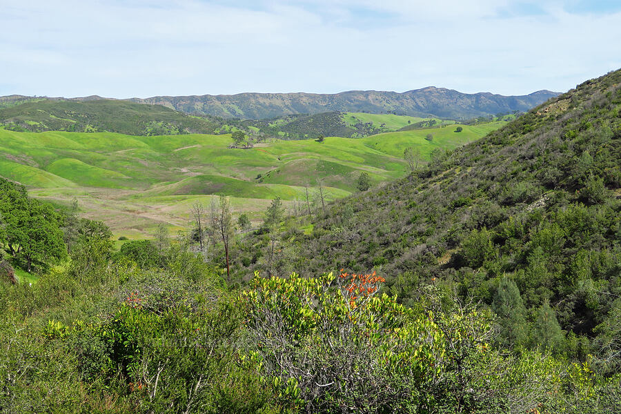 Knoxville Valley & Blue Ridge [Berryessa-Knoxville Road, Napa County, California]