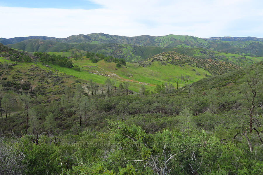 Knoxville Valley & Blue Ridge [Knoxville Recreation Area, Napa County, California]