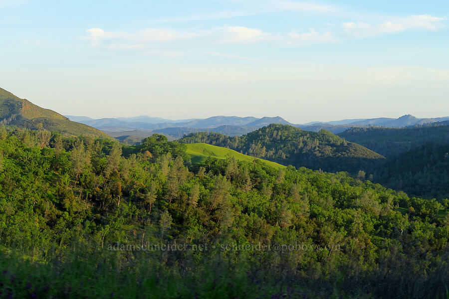 view to the south [Morgan Valley Road, Lake County, California]