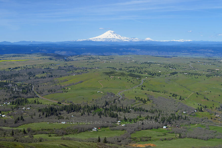 Mount Adams & the Klickitat Valley [Stacker Butte, Klickitat County, Washington]