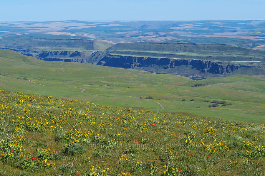 Fulton Ridge, Fairbanks Gap, & Kaser Ridge [Columbia Hills Natural Area Preserve, Klickitat County, Washington]