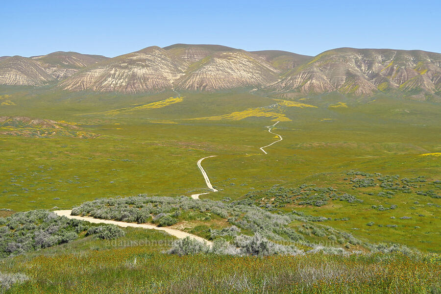 Elkhorn Plain & the Temblor Range [Elkhorn Hills, Carrizo Plain National Monument, San Luis Obispo County, California]